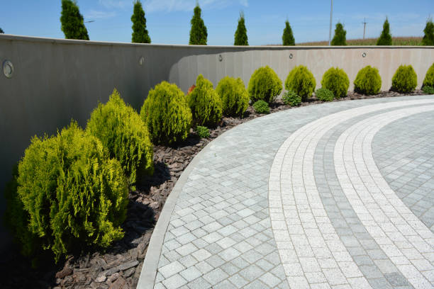 Best Residential Paver Driveway  in Ball, LA